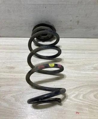 Rear coil spring