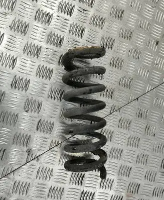 Rear coil spring