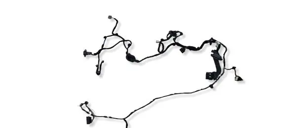 Ford Mustang VI Front door wiring loom FR3T14631SBG GN1514C676AA
