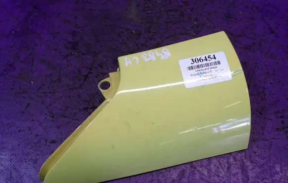 Rear/tail light trim molding
