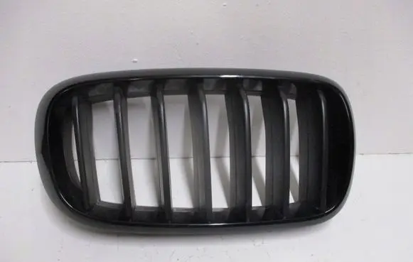 BMW X5 F15 Front grill 7316076