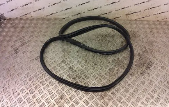 Peugeot Partner Front door rubber seal 