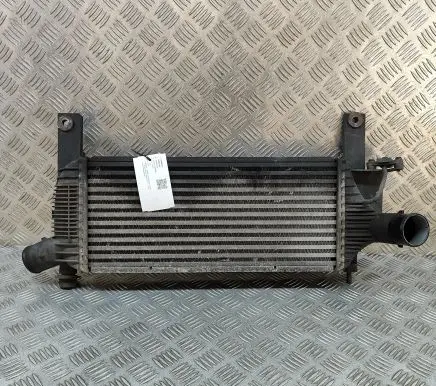 Nissan Pathfinder R51 Intercooler radiator 14461EB360