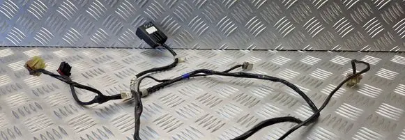 Chrysler Grand Voyager III Other wiring loom 04734084 17778 094786