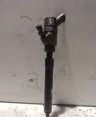 Hyundai Santa Fe Fuel injector 0445110254