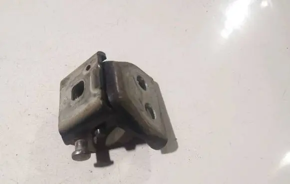 Citroen C4 Grand Picasso Rear door lower hinge