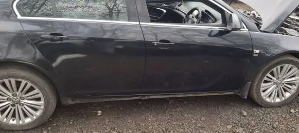 Opel Insignia A Front door
