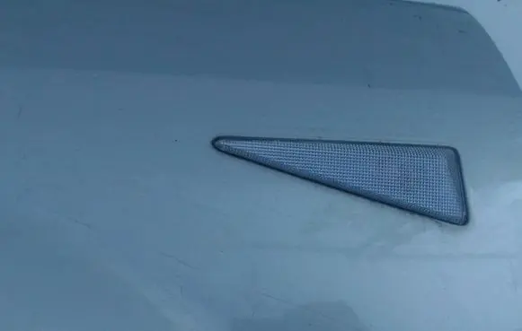 Renault Scenic II - Grand scenic II Front fender indicator light