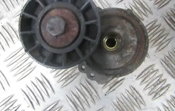 Peugeot 406 Generator/alternator belt tensioner