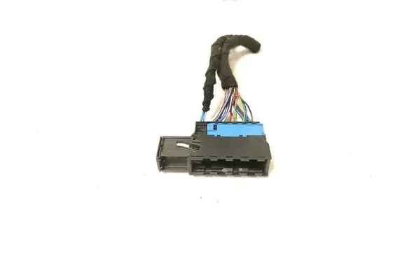 BMW 3 E92 E93 Other wiring loom 6925543