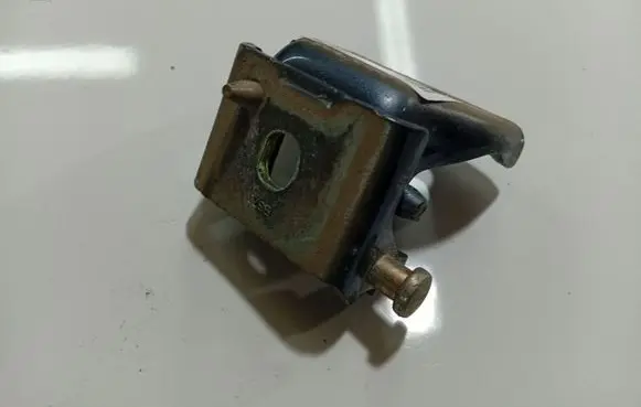Citroen C4 I Rear door lower hinge 