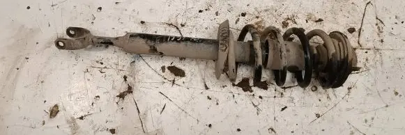 Volkswagen PASSAT B5.5 Front shock absorber with coil spring 1020433086
