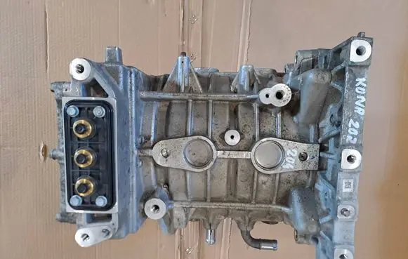 Hyundai Kona I Engine EM16L4N093BJ