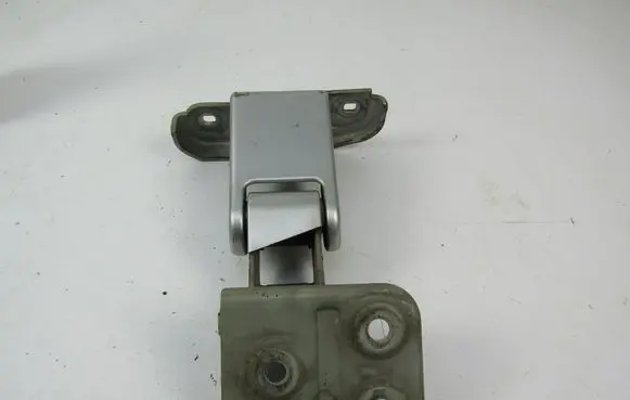 Fiat Scudo Front door hinge set 