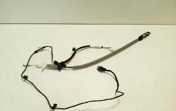 Rear door cable line