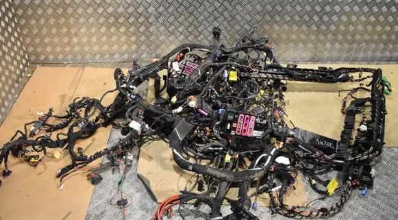 Porsche Taycan 9J1 Wiring harness 