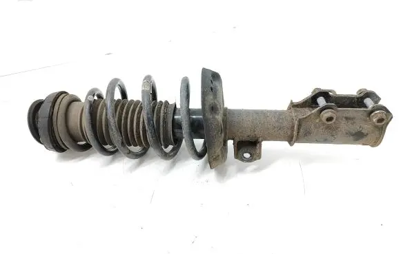 Opel Zafira C Front shock absorber with coil spring