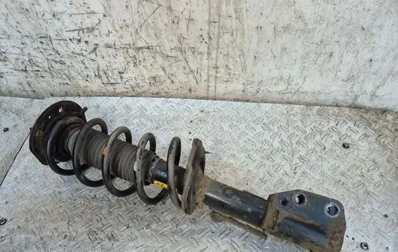 Opel Antara Front shock absorber with coil spring 95147607