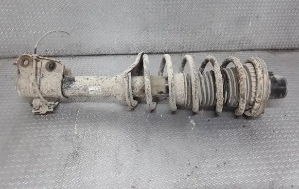Land Rover Freelander Rear shock absorber with coil spring RPB000050