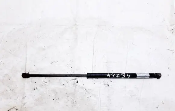 Renault Scenic II - Grand scenic II Tailgate/trunk strut/damper yql530227188460n