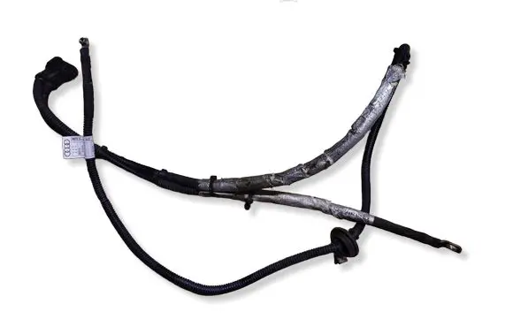 Audi Q5 SQ5 Other wiring loom 8R1971111B