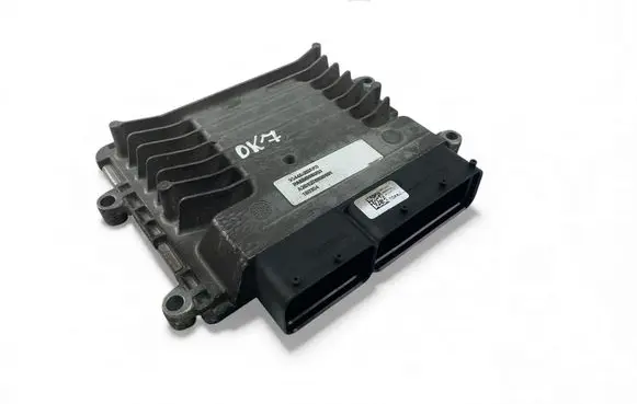 Engine control unit/module ECU
