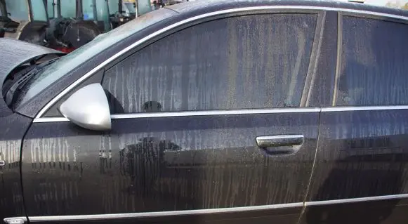 Audi A8 S8 D3 4E Front door LZ9Y