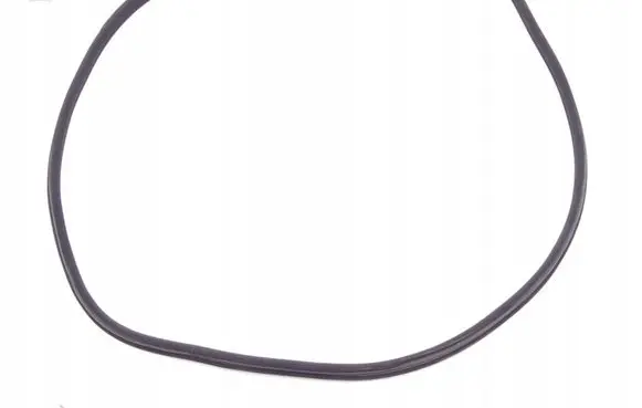 Mercedes-Benz S W221 Front door rubber seal A2216970551
