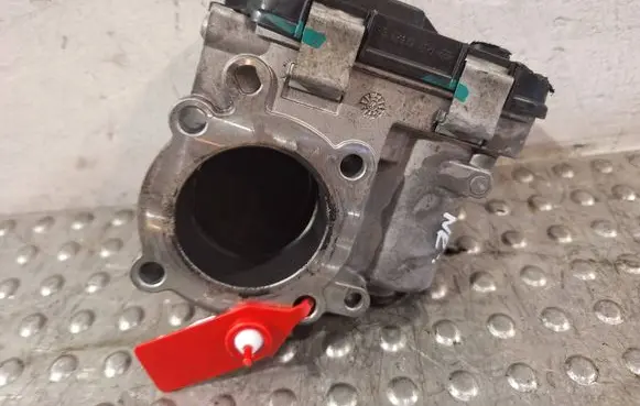 Throttle body valve