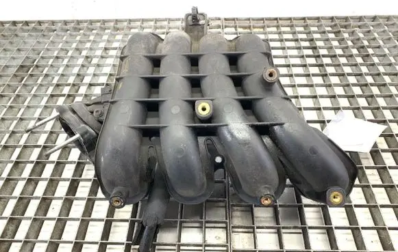 Hyundai i20 (PB PBT) Intake manifold