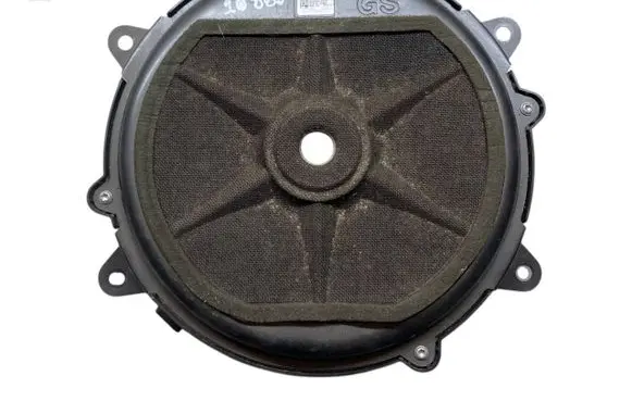 Lexus GS 250 350 300H 450H Subwoofer speaker 861600WW40 8950001001A
