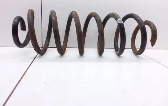 Volkswagen PASSAT B6 Rear coil spring