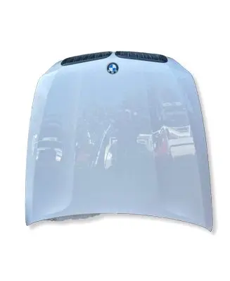 BMW X6 E71 Engine bonnet/hood 