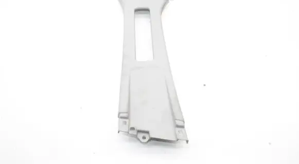 Ford Ecosport (B) pillar trim (bottom)