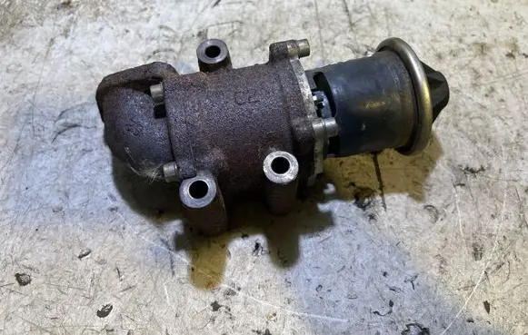 EGR valve