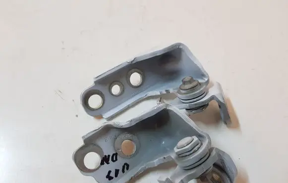 Ford Mustang VI Front door hinges set P001A 27316 16A71G