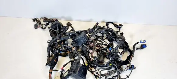 Engine installation wiring loom