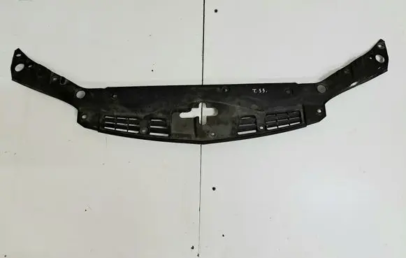 Honda Accord Radiator trim 
