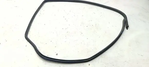 Nissan Qashqai Rear door rubber seal (on body) 769244EA0A