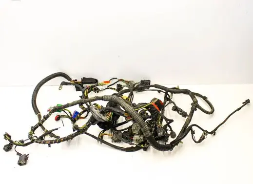 Jaguar XK - XKR Other wiring loom 6W8314K733ASD