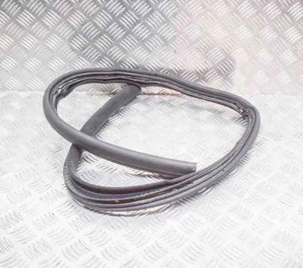 BMW 6 E63 E64 Rubber seal front coupe door 7161723