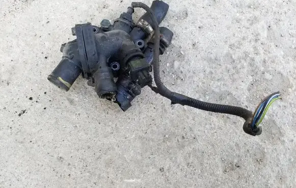 Thermostat/thermostat housing