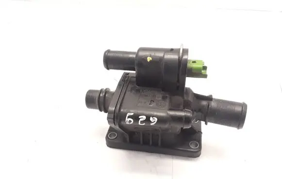 Thermostat/thermostat housing