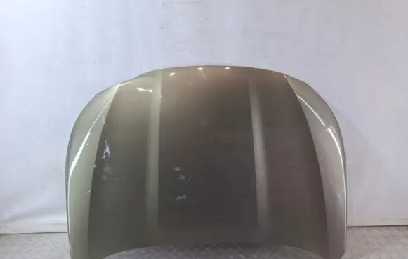 Engine bonnet/hood