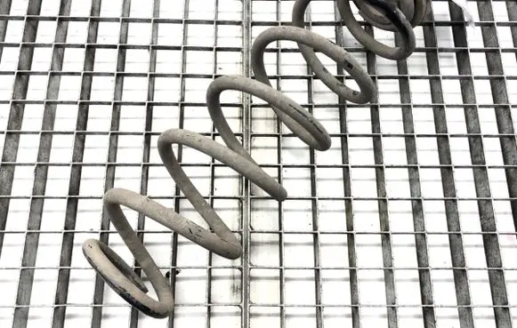 Rear coil spring
