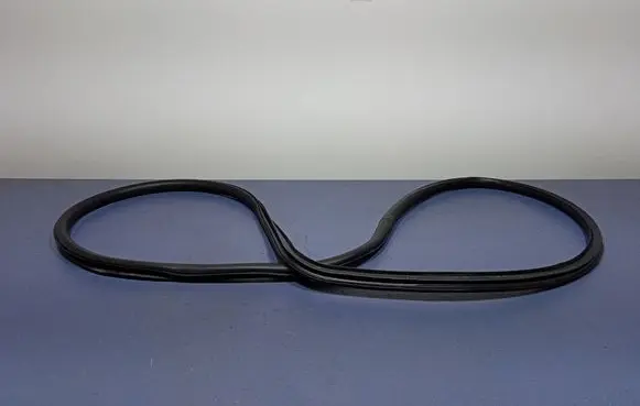 Opel Insignia A Front door rubber seal 