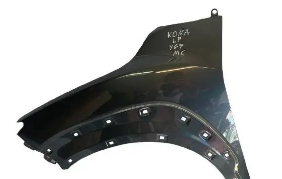 Hyundai Kona I Fender BLOTNIKPLYG7K