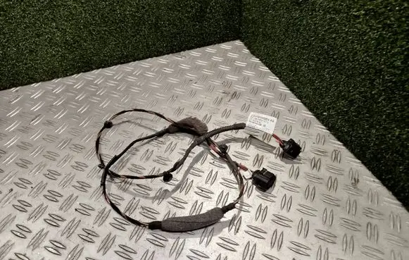 Man TGE 1gen Front door wiring loom 7C0971692