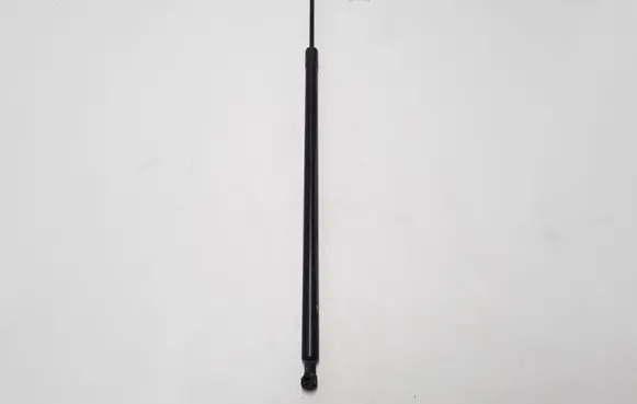 Renault Kangoo II Tailgate strut 8200497806