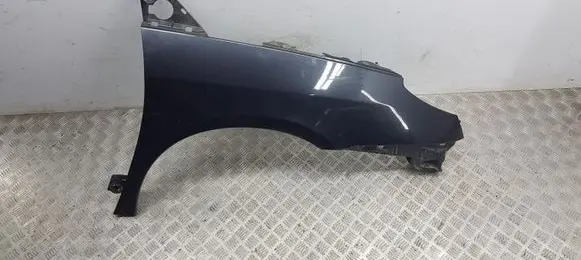Citroen C8 Fender A203000012